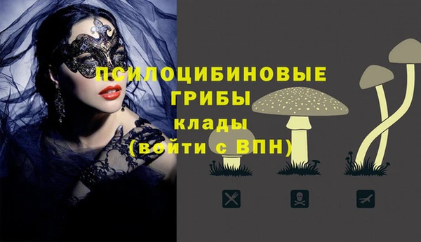 герыч Бородино