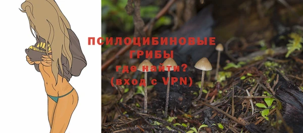 герыч Бородино