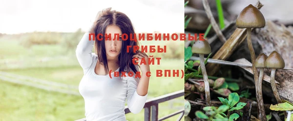 соль ск Верея