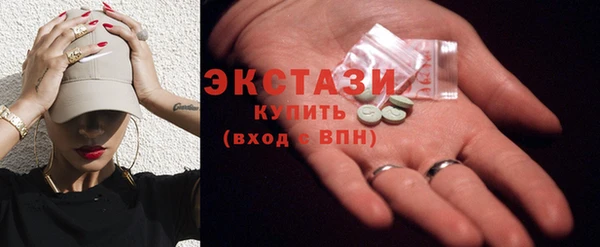 ECSTASY Тайга