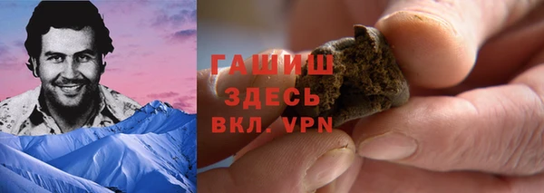 дмт Богородск