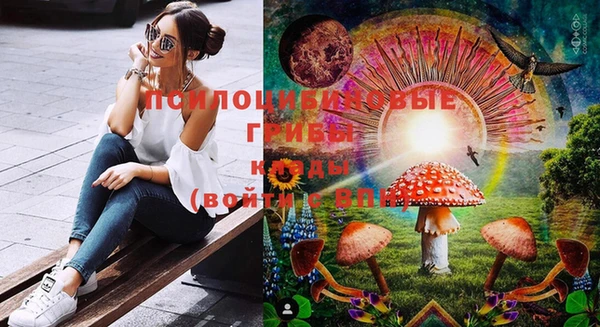 гидра Бугульма