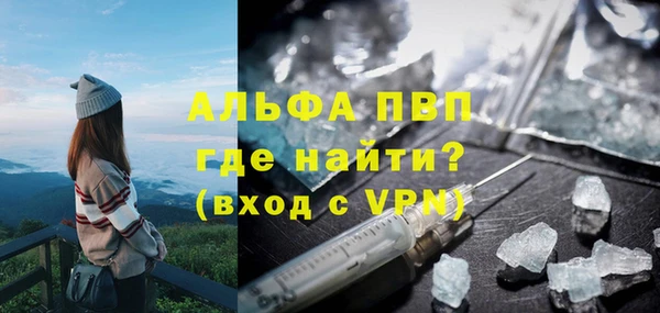 стаф Снежногорск