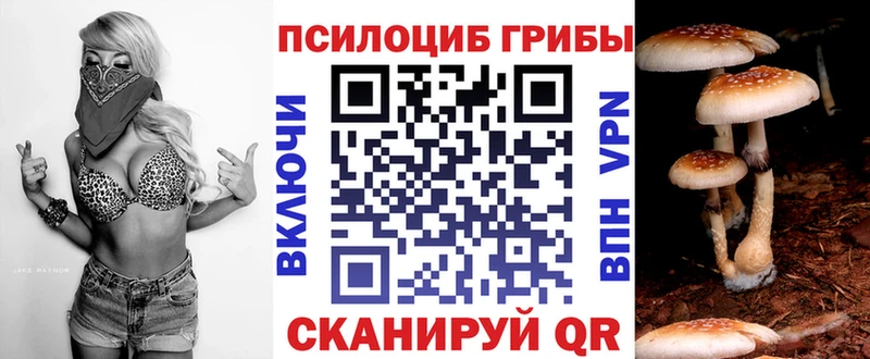 мега ТОР  Сретенск  Галлюциногенные грибы Psilocybe 